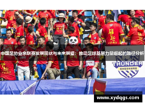 中国足协业余联赛发展现状与未来展望：推动足球基层力量崛起的路径分析