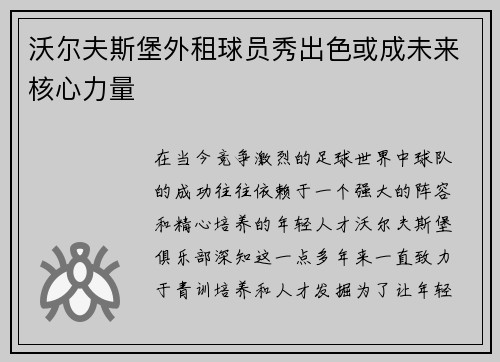沃尔夫斯堡外租球员秀出色或成未来核心力量